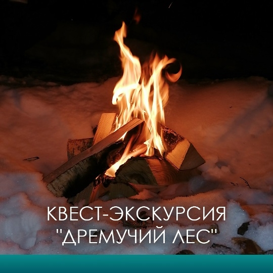 Главное изображение экскурсии - Квест-экскурсия Дремучий лес