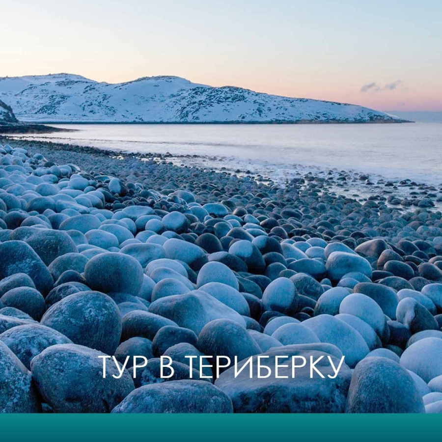Главное изображение экскурсии - Териберка: откройте для себя Арктику