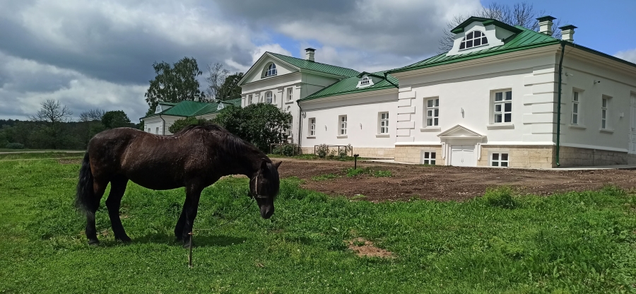 Главное изображение экскурсии - Ясная Поляна