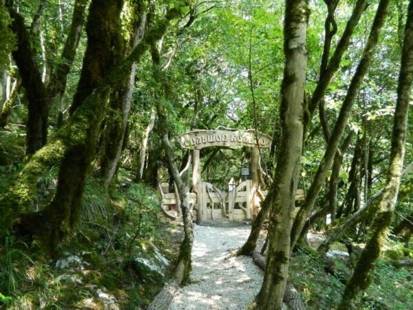 Главное изображение экскурсии - Реликтовый лес, тисо-самшитовая роща, гора Архун - обзорная экскурсия в Сочи