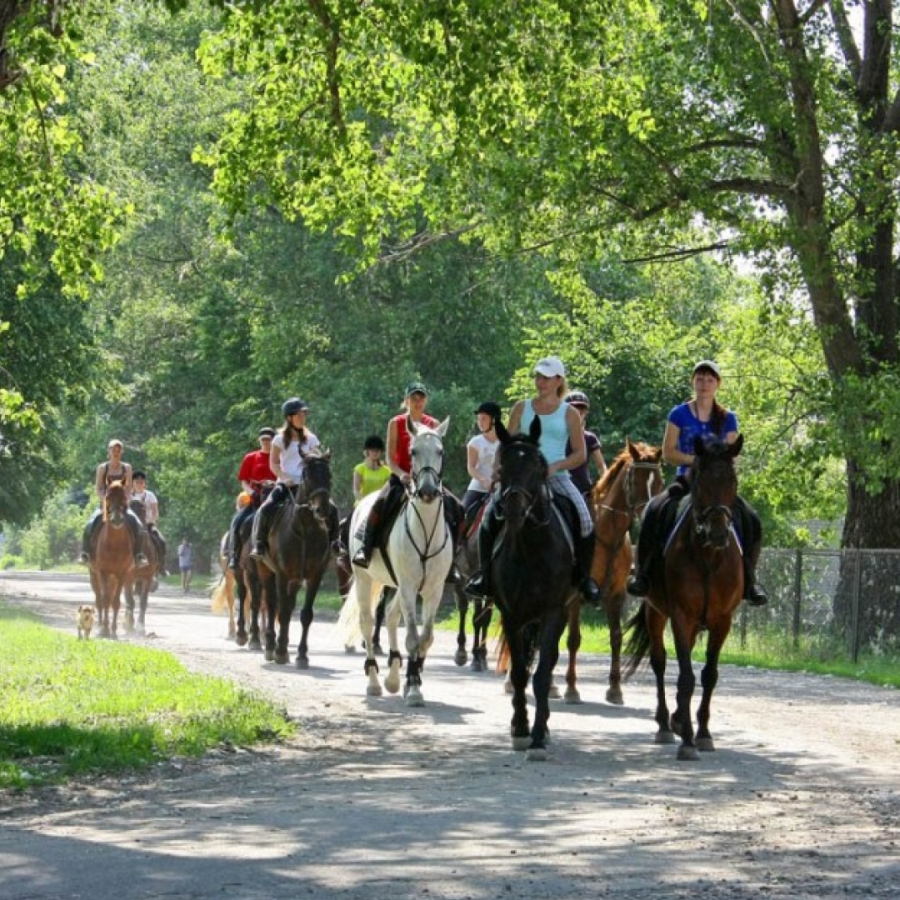 Главное изображение экскурсии - Конные прогулки в Сочи