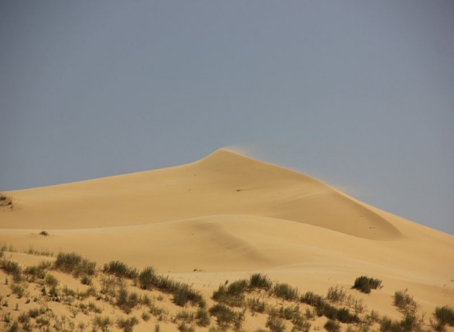Бархан сары кум. Бархан Сарыкум. Сулакский каньон и Бархан Сарыкум. Дагестанский заповедник Бархан Сарыкум. Песчаный Бархан Сарыкум.
