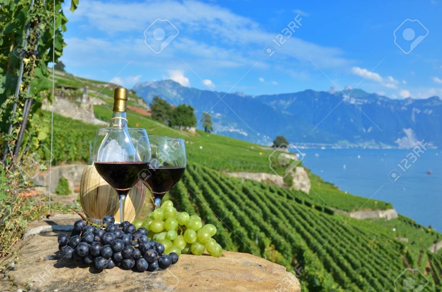 Главное изображение экскурсии - Швейцарская Ривьера: виноградники Лаво, Монтре, Веве