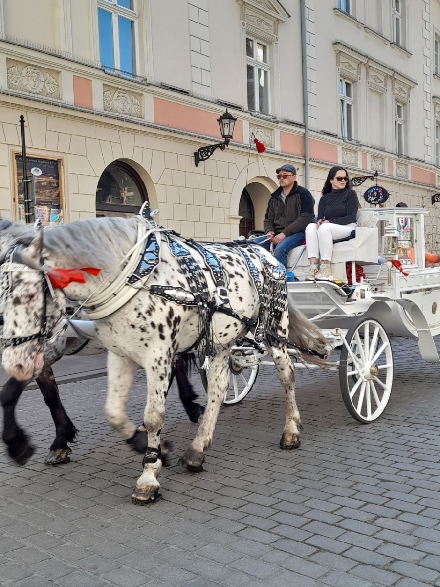 Главное изображение экскурсии - Краков – пешая прогулка по Старому городу и Вавельский холм