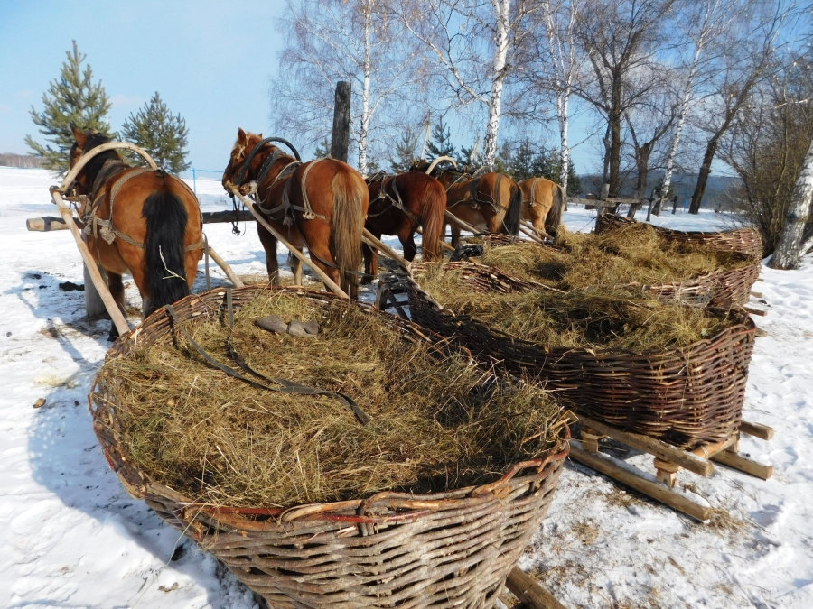 Главное изображение экскурсии - Конные сани: русская экзотика. Тур на 4 дня