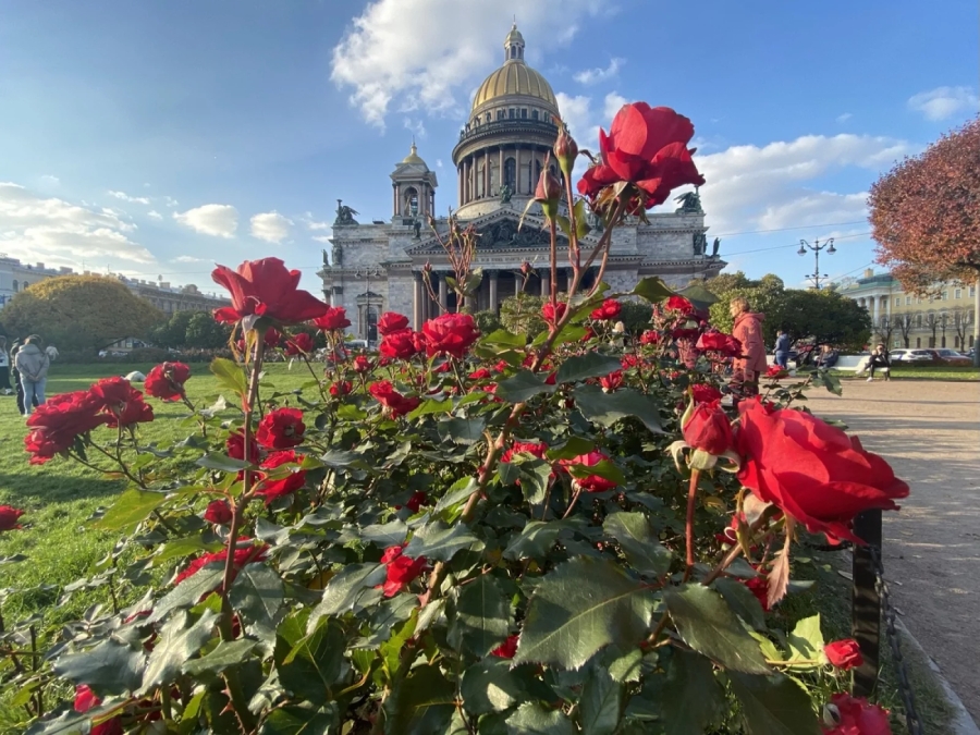 Главное изображение экскурсии - Первое знакомство с Петербургом