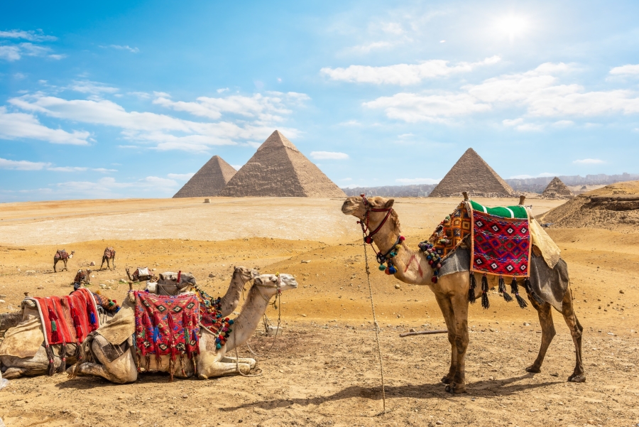 Самые популярные экскурсии в Египте только на FindGid