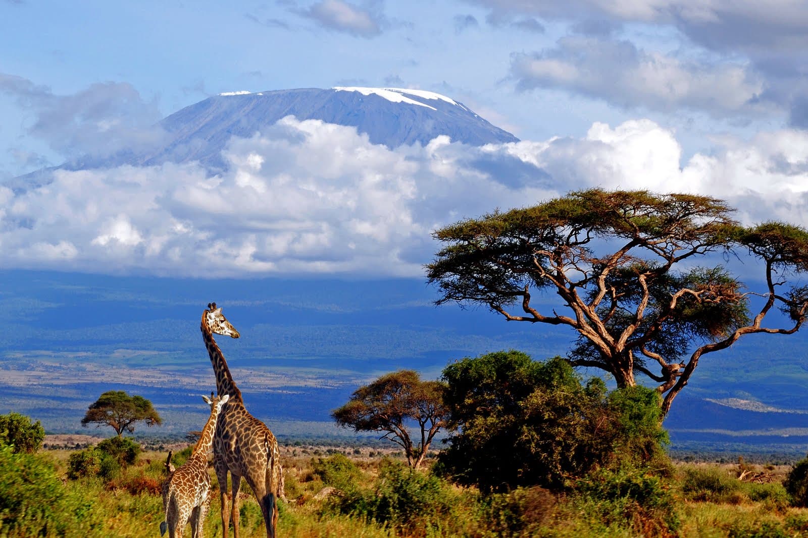 Самые популярные экскурсии в Танзании только на FindGid